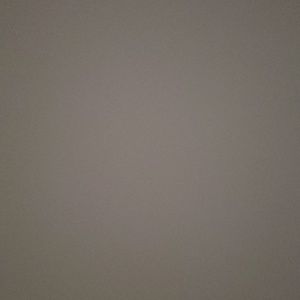 Meet your Posher, Miguel